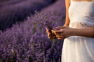 axer1-lavender-3576132_1280