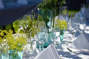 pitsch-party-3655712_1280