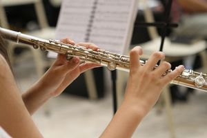 brendageisse-music-3090204_1280