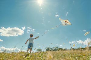 vandesart-kid-8788962_1280