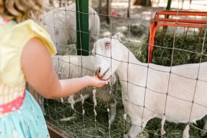 pexels-eric-poussin-304106222-35265410