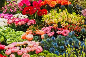 652234-flower-3231099_1280