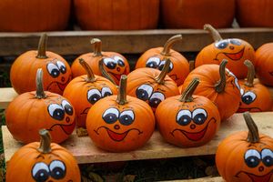 hpdorn-pumpkins-2513228_1280