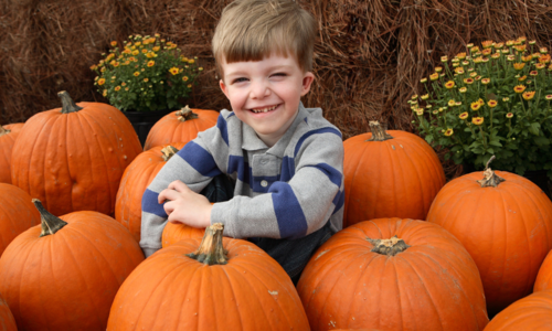 The Weekender October 3 - 4