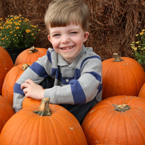 The Weekender October 3 - 4