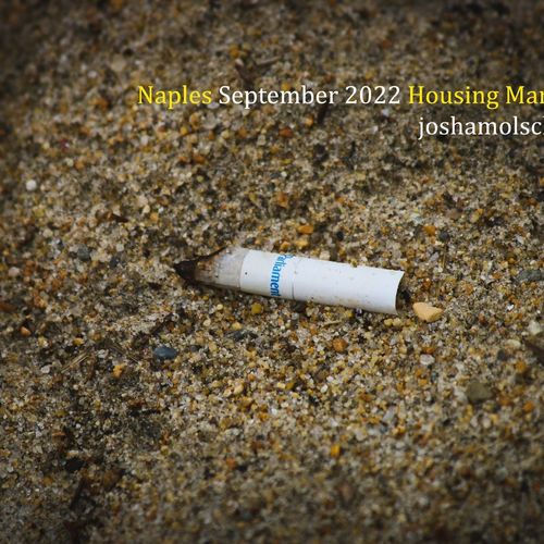 Naples September 2022 Housing Market Update