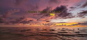 Naples Wellness
