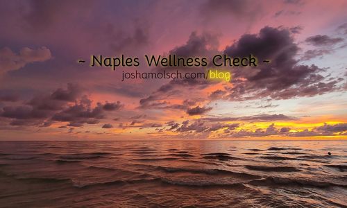 Naples Wellness Check