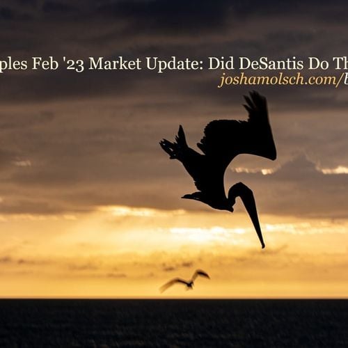 Naples Feb '23 Market Update: Did DeSantis Do This?
