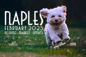 Naples February 2025 Housing Market Update