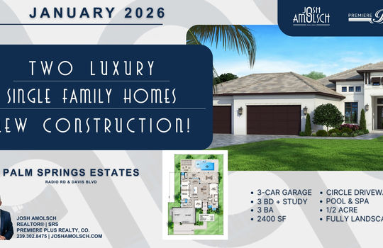 Copy of Palm Springs Estates Pre-Order (Blog Banner)