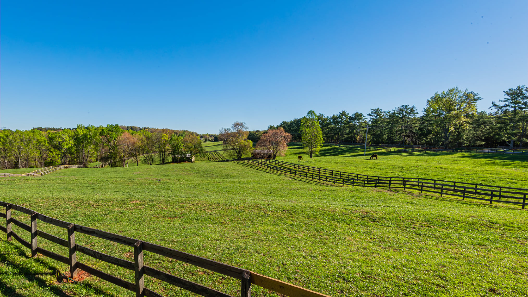 Header Image__17Equestrian