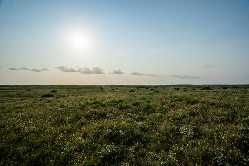 1543_TX258_AssentRE-10