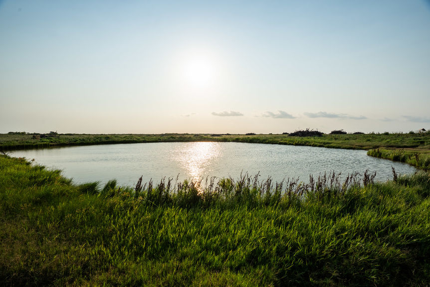 1543_TX258_AssentRE-15