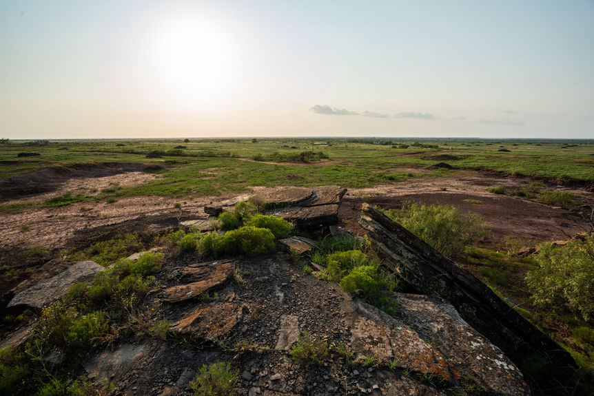 1543_TX258_AssentRE-20