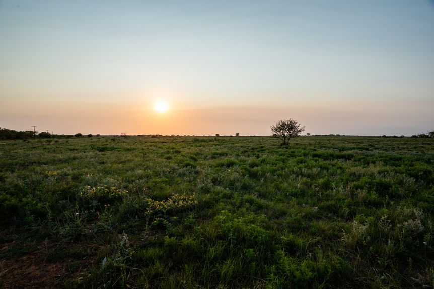 1543_TX258_AssentRE-24