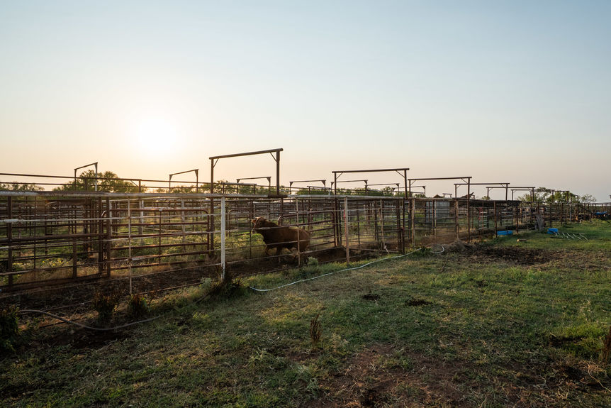 1543_TX258_AssentRE-5