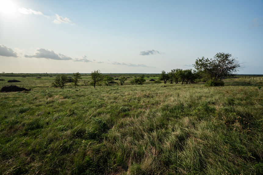 1543_TX258_AssentRE-6