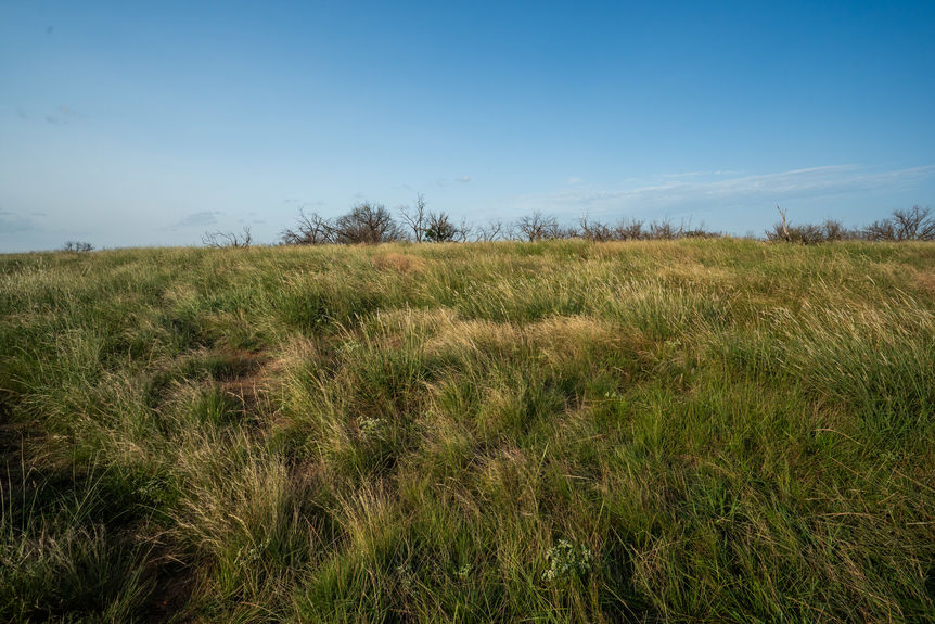 1543_TX258_AssentRE-8