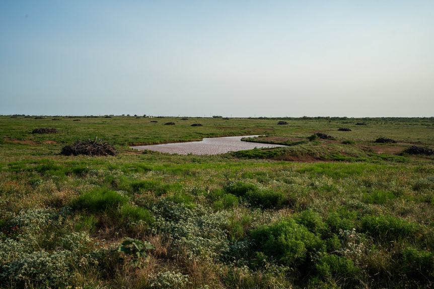 1543_TX258_AssentRE-9