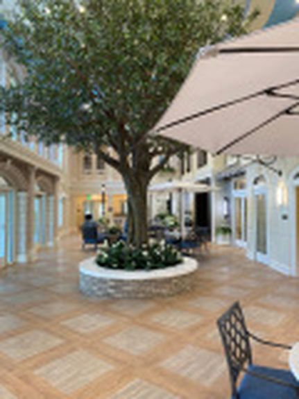 s649610523683685662_p106_i31_w160