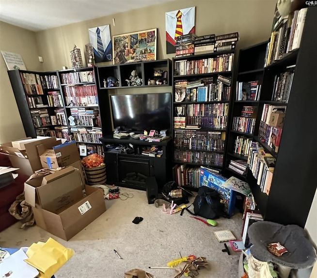 583052-136e1d8b-7104-4a35-ad6f-1cece1ec6482