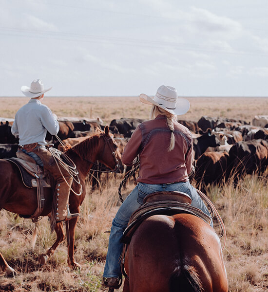 Equestrian horse properties for sale