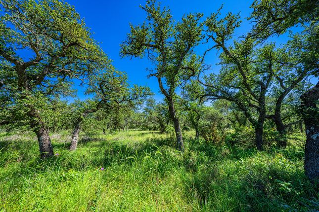 8-web-or-mls-DSC06023