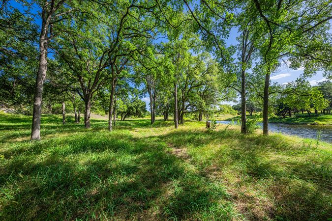 3-web-or-mls-DSC01481