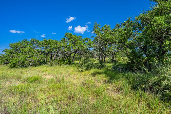 4-web-or-mls-DSC01389