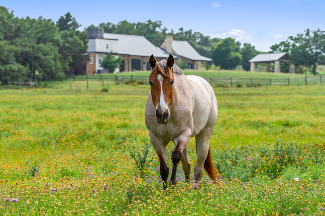 768 N Walnut Springs Rd - 15