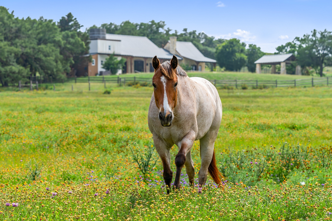 768 N Walnut Springs Rd - 15