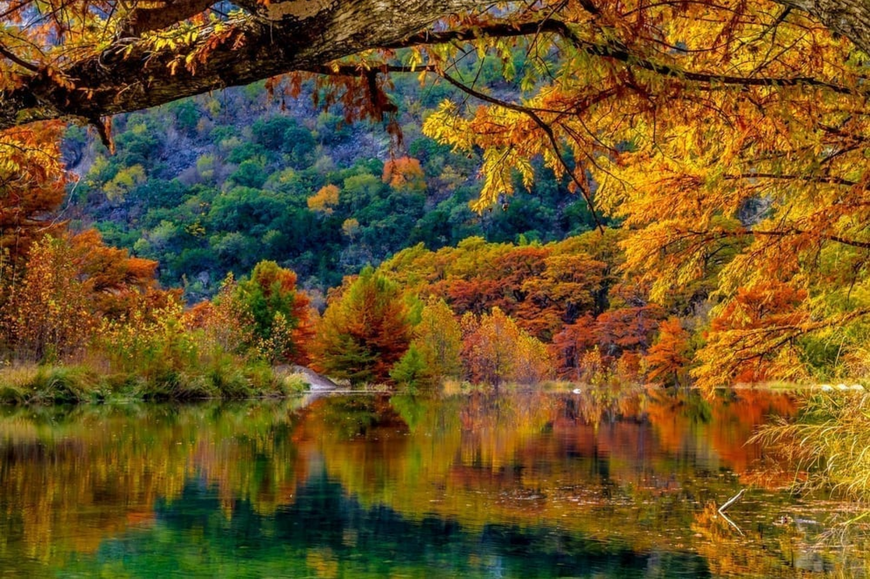 Fall in the Hill Country: Wineries, Pumpkins, and Golden Views