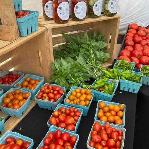 Hill Country Lifestyle Guide: From Ranch to Table Living in the Hill Country