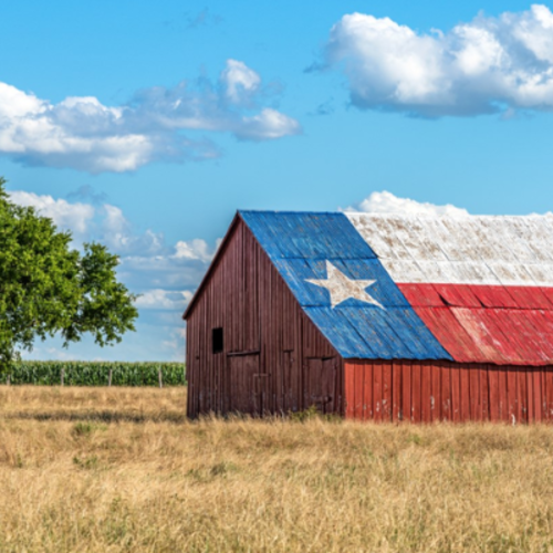Wall Street to Y’all Street: Why the Wealthy Are Choosing Texas Land Over City Luxury