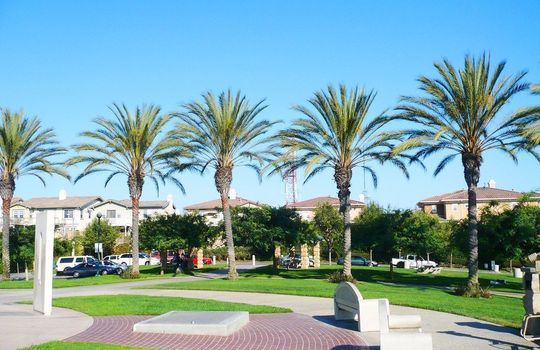 SignalHill Park &amp; Houses