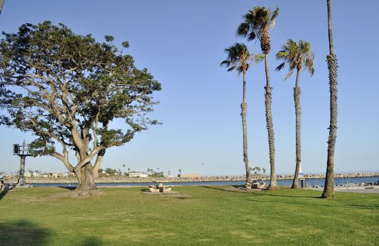 The Peninsula, Long Beach, CA