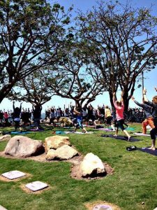 Yoga - Long Beach Bluff