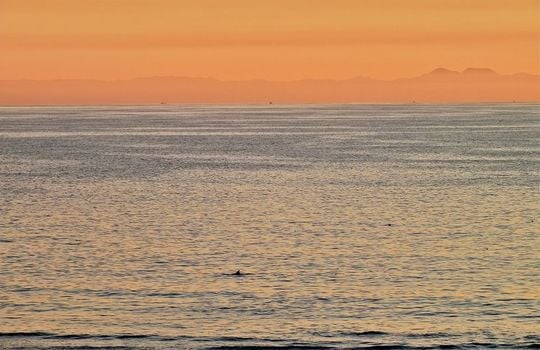 Huntington Beach, CA