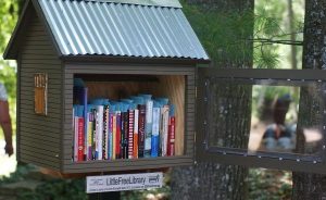 Little-free-library - metal roof
