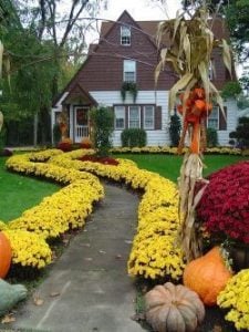A fresh planting of fall mums can help add curb appeal.