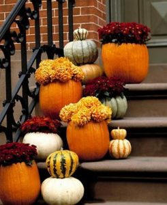 pumpkins containers