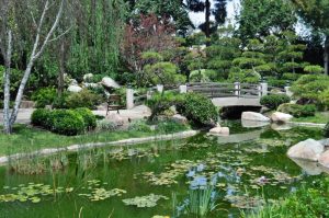 japanese-garden