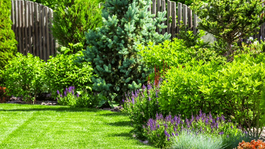 Outdoor Garden with Purple Flowers