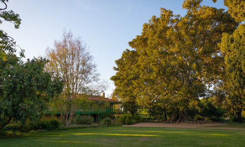 Rancho Los Cerritos: Preserving the Past, Enriching the Future
