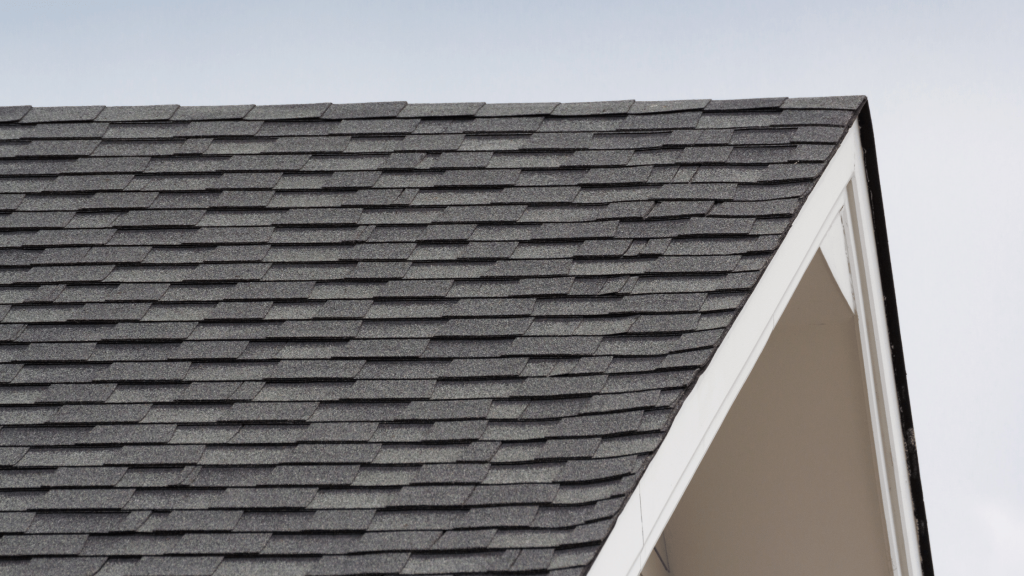 March Home Maintenance Tasks - Roof Maintenance