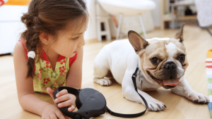 Pet-Friendly Home Blog - Small Child with Bulldog on a Leash