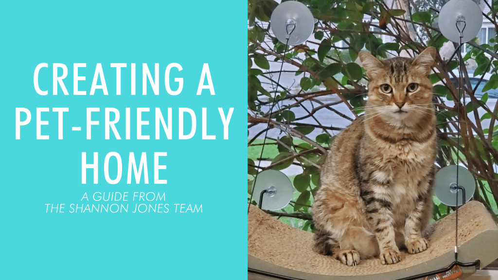 Creating A PetFriendly Home