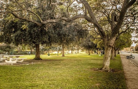 Artcraft Manor Stearns Park