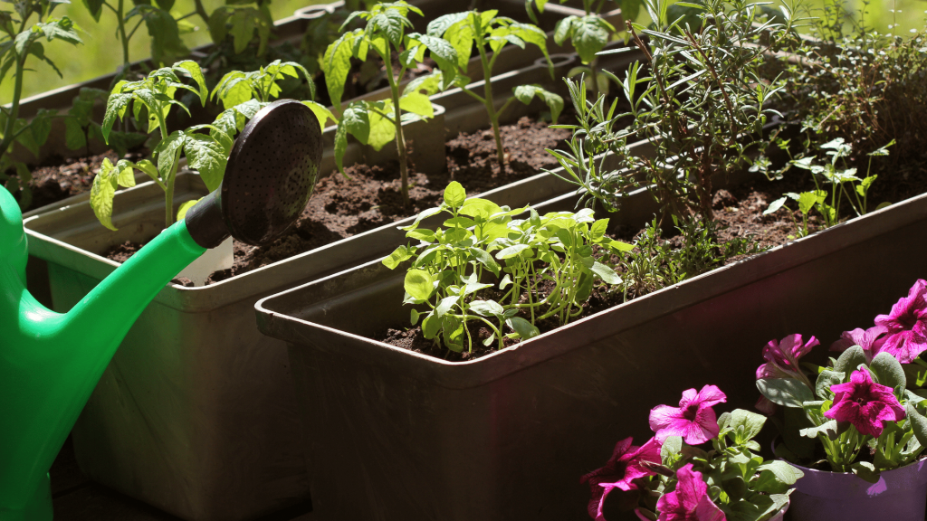 Container Gardens